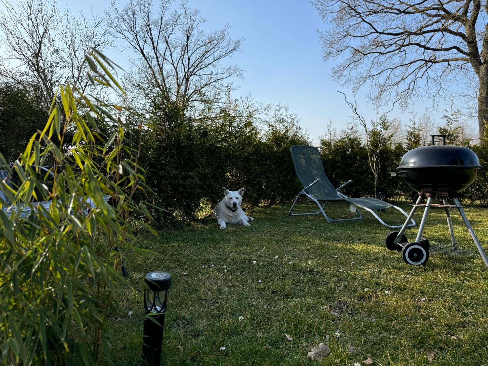 Am Dillich - Ruhige Lage - Eigener Garten - Direkt Neben Einem Natursee Apartment Borken (Hessen)